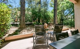 Ombre Des Pins A Saint Tropez XIX